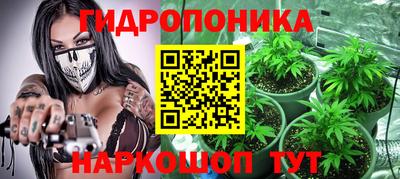 молекула духа Кандалакша